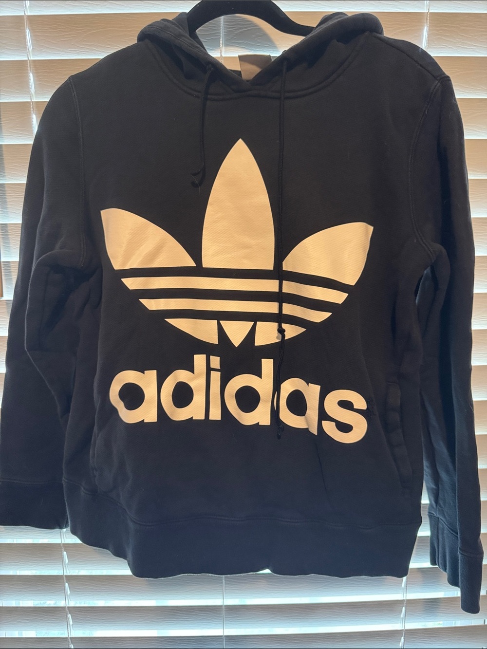 Sweatshirt with Hood